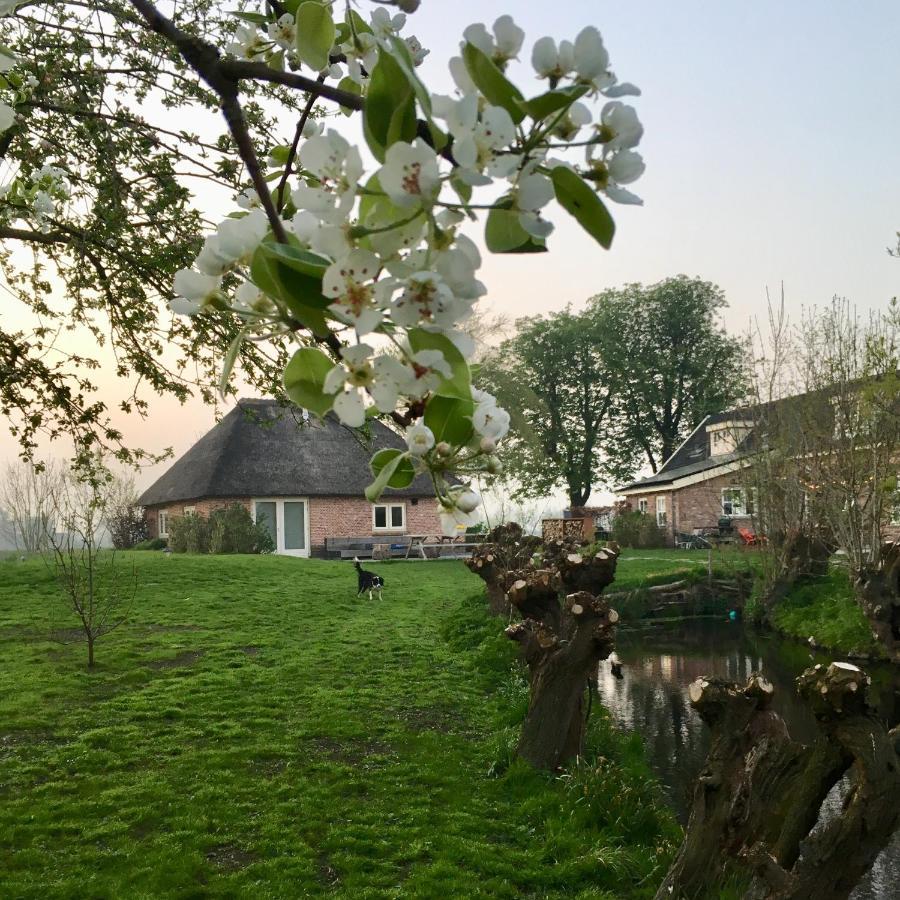 Groeten Uit Hoogmade - Rural Cottage Eksteriør billede