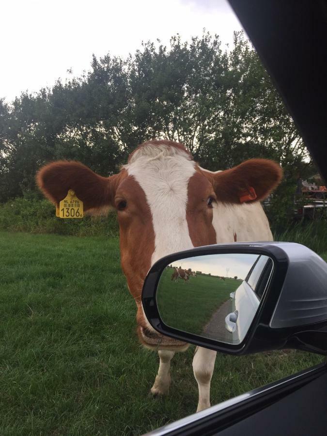 Groeten Uit Hoogmade - Rural Cottage Eksteriør billede
